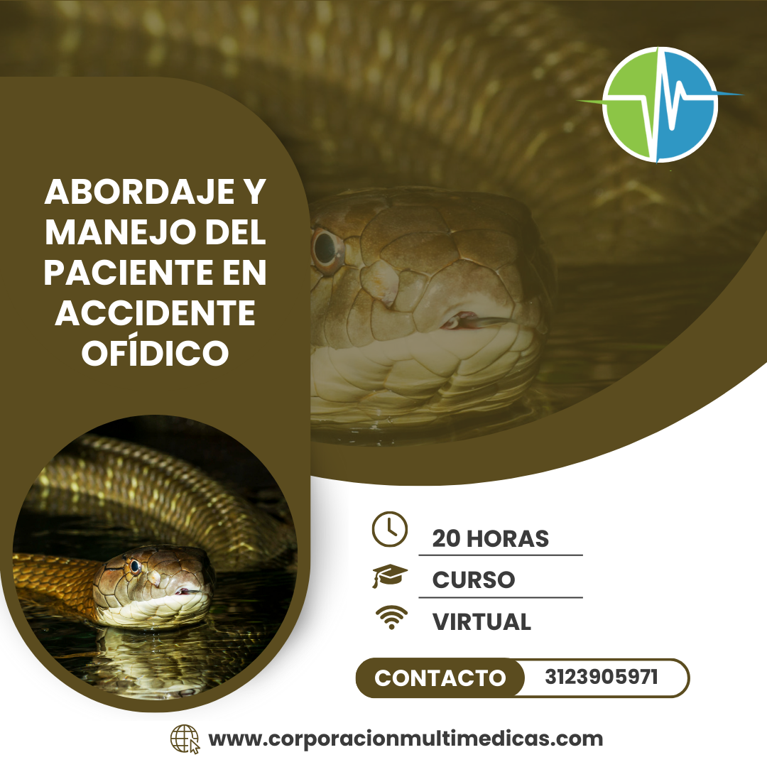 OFIDICO
